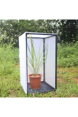 Xiyyadms Pvc Çerçeveli Çok Amaçlı Kafes: Kelebek, Böcek Yetiştirme, Bitki Koruması, Güveç Engelleme Özel Boyutlarla 40 30 40