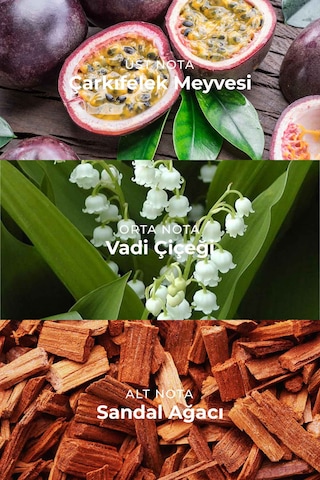 Armasari Nova Kirkia Edp Kalıcı Erkek Parfüm 100ml Meyveli Ve Çiçeksi Armut, Frenk Üzümü, Misk, Sandal Meyve - Odunsu