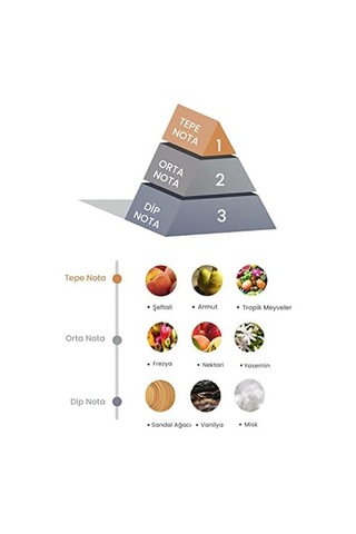 Prova Bambu Çubuklu Oda Kokusu Peach Tea 100 Ml 50 x 22