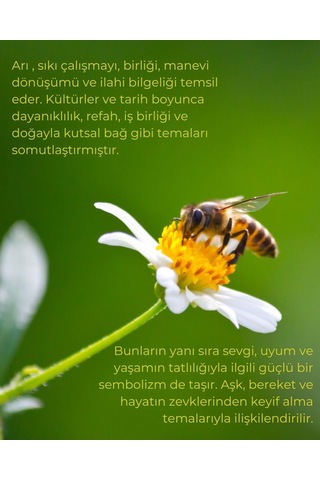 Arı Kolye 14 Ayar Altın Altın