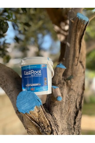 Eastroot Blueguard Aşı Macunu 1000 Gram Fırça Ile Sürülebilir