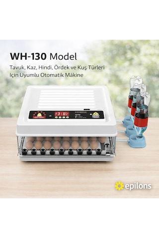 Wh-130 Kuluçka Makinesi -tavuk Kaz Hindi Ördek Ve Kuş Türleri Uyumlu Yedek Motor Hediyeli Lisinya