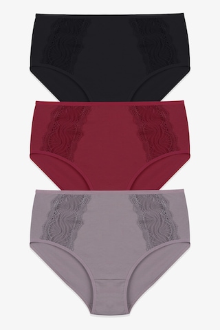 Kadın 3 Lü Dantel Detaylı Pamuklu Külot Ko40806 Çok Renkli