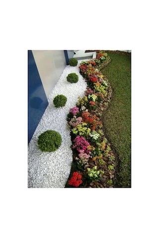 Ekodoğa Beyaz Dolomit Taş 5 Kg 2 4 Cm Bahçe Süs Taşı Dekoratif Aksesuarı 64 X 32