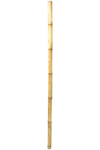 Dekoratif Bambu M