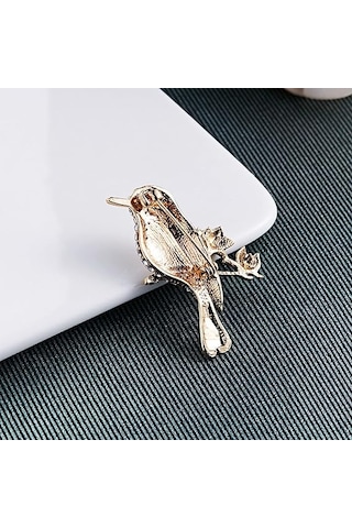 Kadın Broş Seti, Kristal Şal Klipsleri, Kadınlar İçin Güvenlik Br Çok Renkli