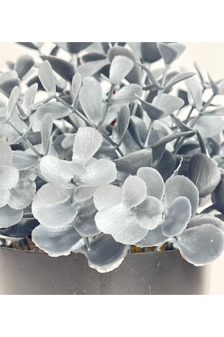 Yapay Çiçek Gümüş Renk Şimşir Siyah Saksıda Siyah Plastik Saksılı