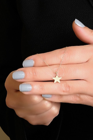 Aytekkuyumculuk Yıldız Plaka Kolye