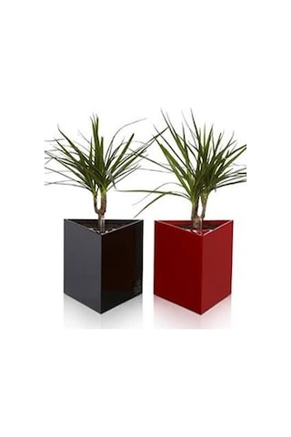 Trend Vase Kompozit 40X40X50 Üçgen Saksı