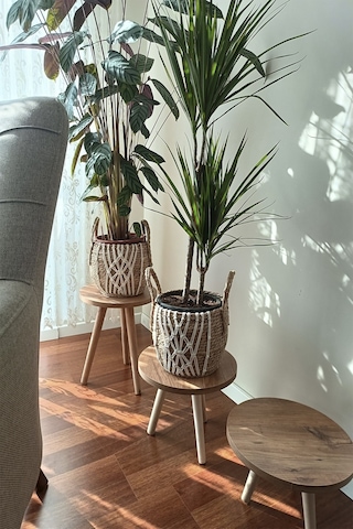 3'lü Ahşap Ayaklı Çiçeklik Saksılık Standı Dekoratif Yan Sehpa Seti 25 Cm Çap Atlantik Çam Diğer