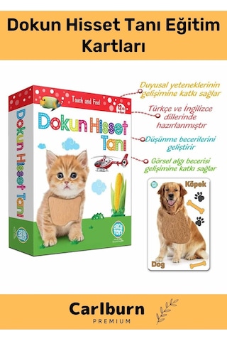 Özel Üretim Duyusal Gelişim Görsel Algı Eğlenceli Öğrenme Çocuk Dokun Hisset Tanı Eğitim Kartları