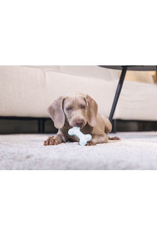 Beeztees Yavru Köpek Diş Oyuncağı, İçi Dolu Halka, Kauçuk, Yeşil, 10cm