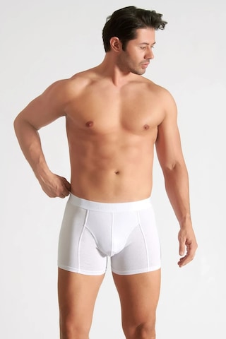 Hepsine Rakip 4 Lü Tutku İç Giyim Pamuklu Likralı Erkek Boxer 0114 Beyaz