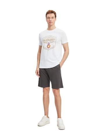 Gsstore Galatasaray Erkek Basic Şort E241238