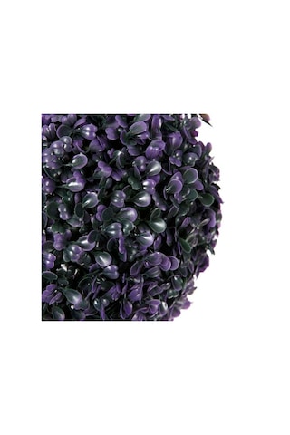 Vitale Mor Top Bitki 25 Cm Ak.Bg0126
