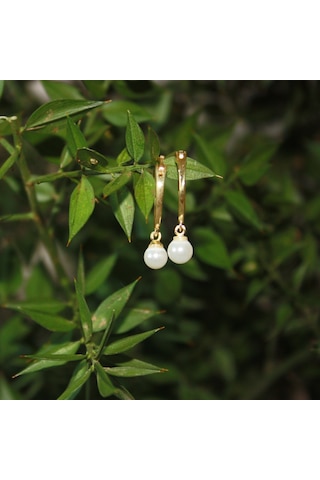 Kadın Halka İnci Küpe Gold