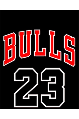 Zepplin Giyim Chicago Bulls 23 Büyük Sırt Patch Yama
