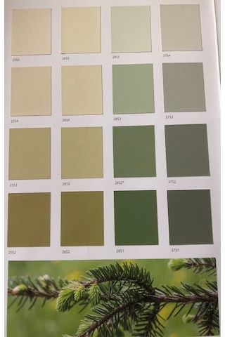 Filli Boya Aqusto Sil Fotokatalitik Dış Cephe Boyası