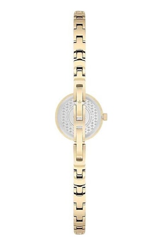 Wesse Wwl116904 Quartz Çelik Altın Rengi Yeşil Kadran 18 Mm Kadın Kol Saati