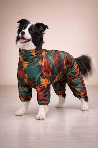 Alphadog Parade Polarlı Orta-büyük Irk Köpek Yağmurluk Tulumu