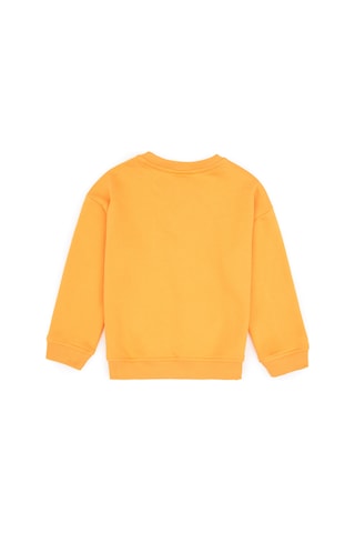 U.S. Polo Assn. Erkek Çocuk Mango Bisiklet Yaka Basic Sweatshirt 50313829-VR244