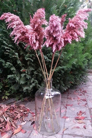 8'li Büyük Demet Pampas Pembe 100cm Boyunda