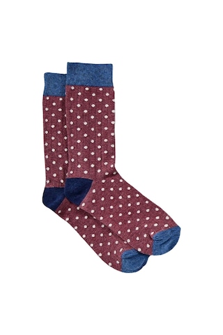 Kadın Tiana 3'lü Soket Çorap Renkli