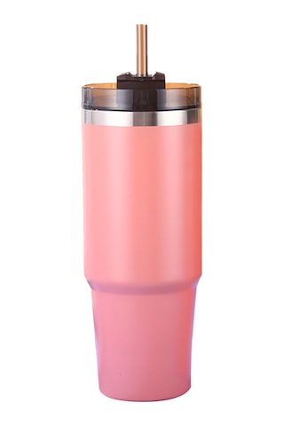 Moveevo 304 Çelik Isı Saklama Bardak, 30oz, 6-12 Saat Isı/sıcak Tutma, Pipetli Kapağıyla, Araçta/evde/kamp İçin, Kuzey Avrupa Pembe Pembe