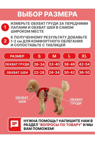 Tori Küçük Ve Orta Irklar İçin Tasmalı Köpek Kayışı Ve Kedi Şeridi 451340234