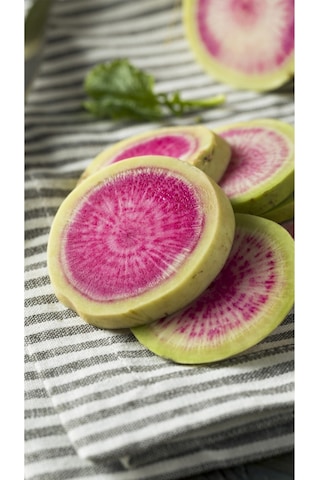 Karpuz Turp Tohumu Atalık Radish Watermelon