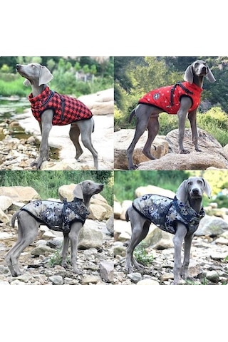 V-Pet-B-R Su Geçirmez Sıcak Köpek Montu Kıyafeti