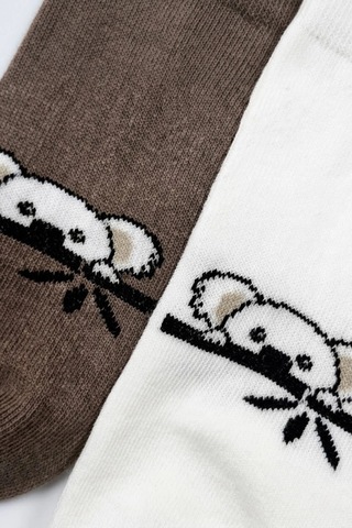 Cocole Socks Çocuk Patik Çorabı 2 Li Set Pamuklu Ekru & Kahverengi Koala Desenli Çok Renkli