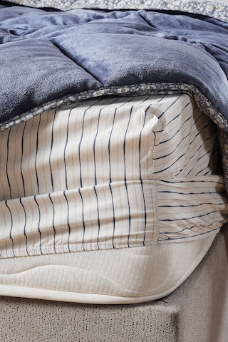 Monica Next Comforter Set Tek Kişilik Lacivert