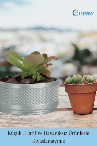 Saksı Kaktüs Saksısı Dekoratif Saksı Model 12 - Gümüş