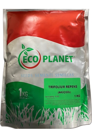 Yonca Ak Üçgül Trifolium Repens Tohumu 1 KG İthal