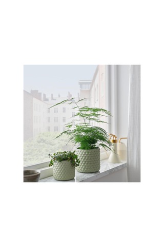 Ikea Glaciarbjörn Serisi, Beton Saksı, 12 Cm, Açık Yeşil