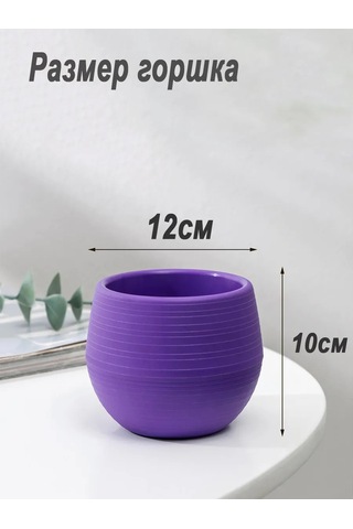 Saburg 3'lü Saksı Seti, Otomatik Sulamalı, 450 Ml 271400138