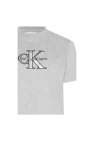 Ss Classıc Monologo Metallıc Cne Kadın Gri T-shirt Gri