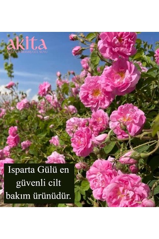 Akita Yüksek Frekans Doğal Gül Yağı Damlalıklı 3 ML