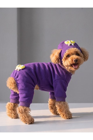 Violet Wings Köpek Bere Ve Tulum Kombini Mor Renk 3d Kelebek Aksesuarlı Penye Köpek Kıyafeti