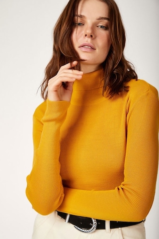 Bigdart 10311 Balıkçı Yaka Triko Kazak - Hardal 001