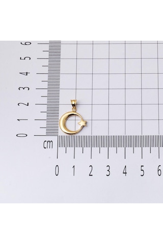Ay Yıldızlı 14 Ayar Taşsız Altın Kolye KUEGS14K20693