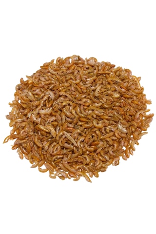 Purecanpati Kurutulmuş Gammarus Kaplumbağa Yemi 25 Gr