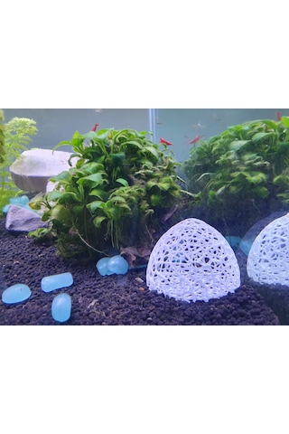 Karides Akvaryumu İçin Gözenekli Beyaz Saklanma Mağarası