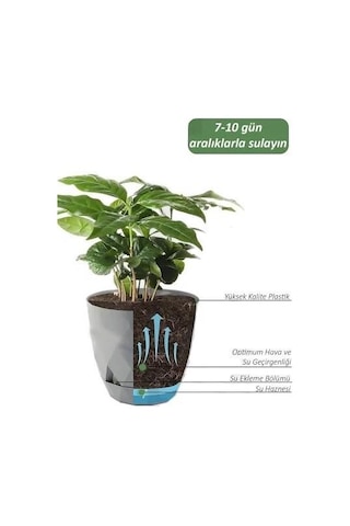 Omnipazar Krs-452 Yakamoz Tabaklı Plastik Saksı Takımı 1.3 Lt Beyaz 6 Adet