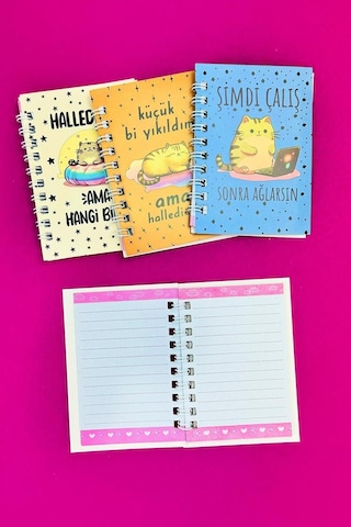 Mini 4'lü Kedili Spiralli Defter Çok Renkli
