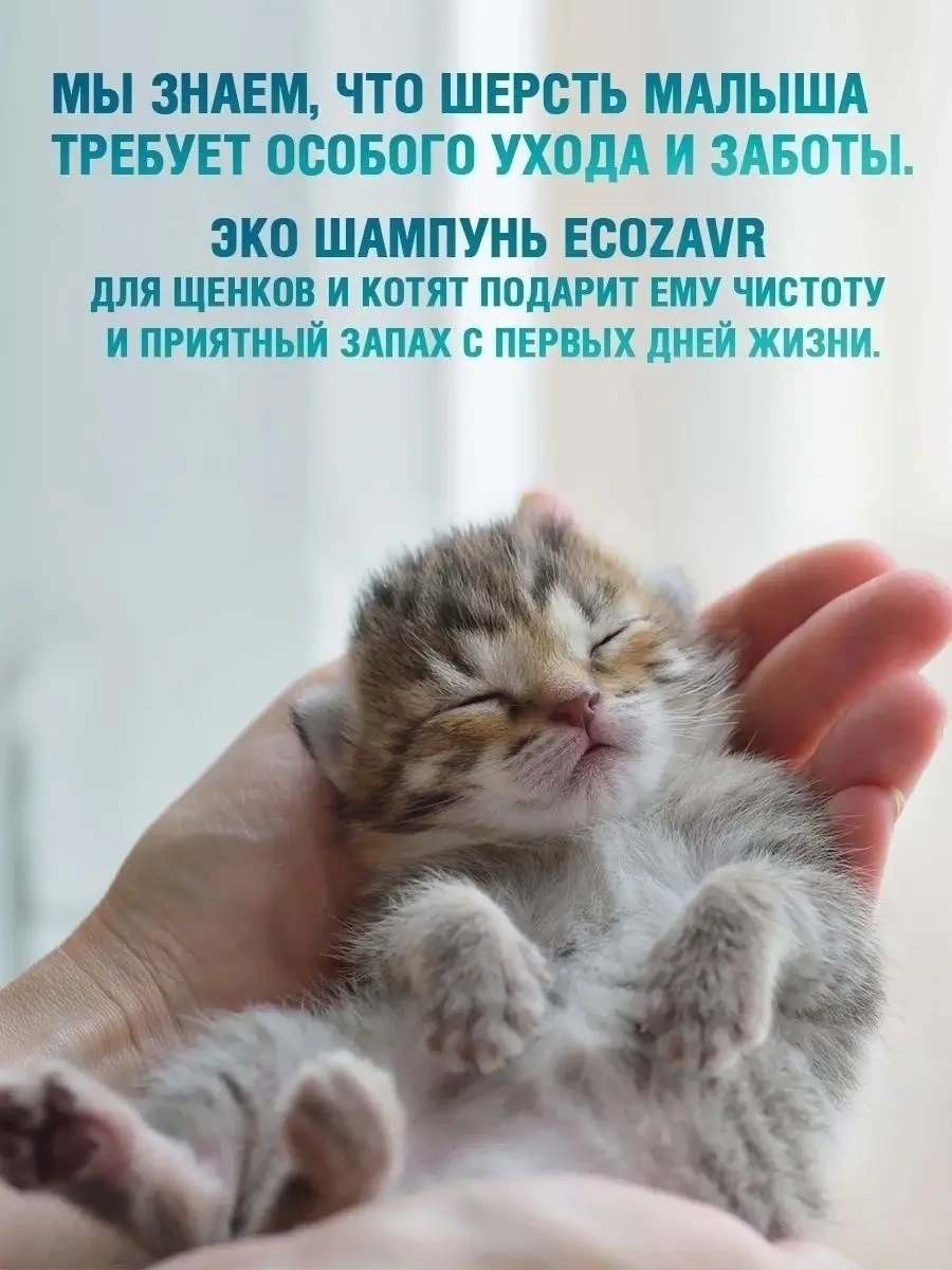 Ecozavr Sls/sles İçermeyen Yavru Köpek Ve Kediler İçin Eko Shampoo 0,5l 51300261