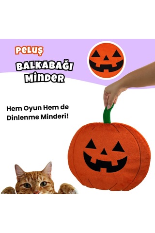 Miyav Kabak Desenli Kedi  Minderi