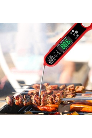 Dinosaurs Store Gıda Termometresi