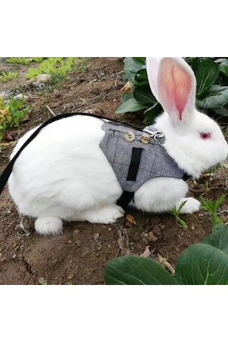 Lemestar Köpek, Tavşan Ve Kedi İçin Pamuklu Kostüm Tasma - S/m/l Boyutları - Boyun Ve Göğüs Ölçümleriyle